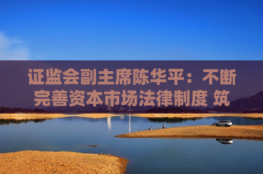  *** 副主席陈华平：不断完善资本市场法律制度 筑牢投资者合法权益保护的“安全网”