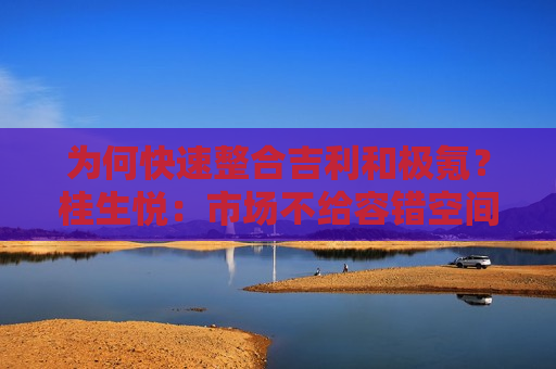 为何快速整合吉利和极氪？桂生悦：市场不给容错空间，快速通过整合提高企业竞争力