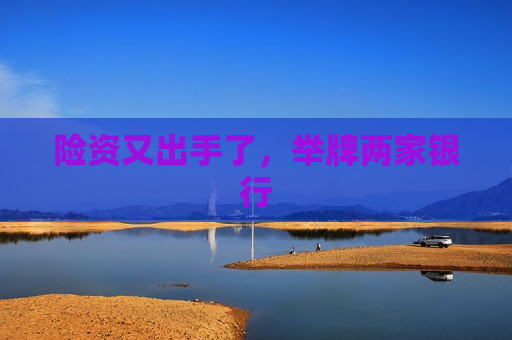 险资又出手了，举牌两家银行