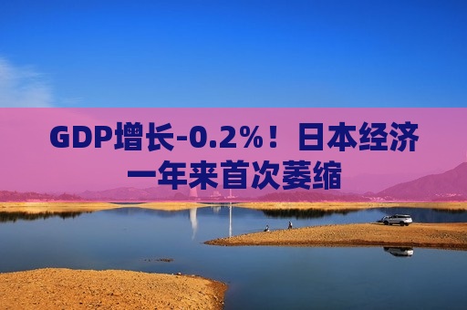 GDP增长-0.2%！日本经济一年来首次萎缩