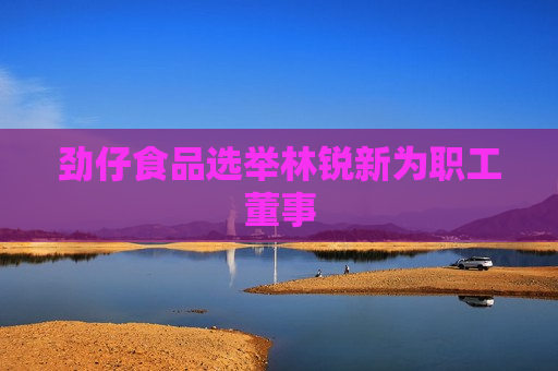 劲仔食品选举林锐新为职工董事