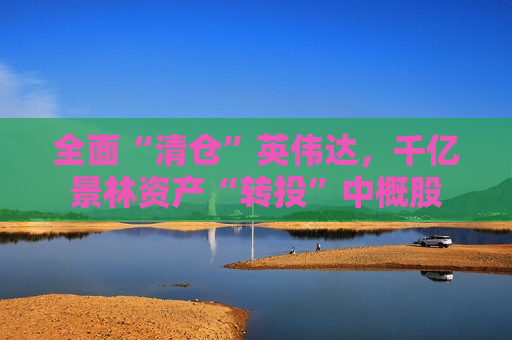 全面“清仓”英伟达，千亿景林资产“转投”中概股