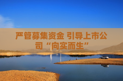 严管募集资金 引导上市公司“向实而生”
