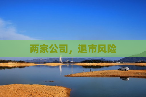 两家公司，退市风险  第1张