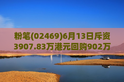 粉笔(02469)6月13日斥资3907.83万港元回购902万股