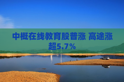 中概在线教育股普涨 高途涨超5.7%  第1张