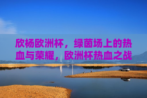 欣杨欧洲杯，绿茵场上的热血与荣耀，欧洲杯热血之战，绿茵场上的荣耀时刻，欧洲杯热血之战，绿茵场上的荣耀时刻