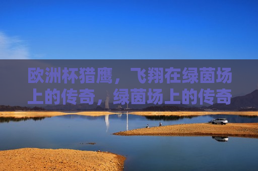 欧洲杯猎鹰，飞翔在绿茵场上的传奇，绿茵场上的传奇，欧洲杯猎鹰展翅！，欧洲杯猎鹰展翅，绿茵场上的传奇