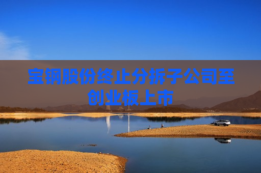 宝钢股份终止分拆子公司至创业板上市