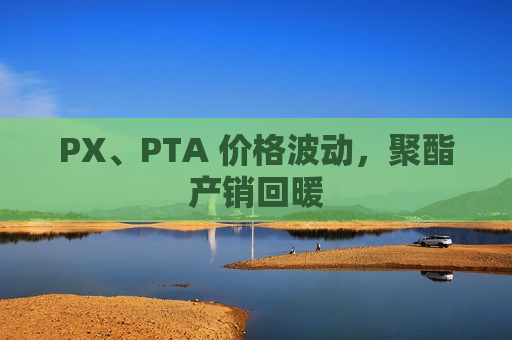 PX、PTA 价格波动,聚酯产销回暖 第1张 PX、PTA 价格波动,聚酯产销回暖 第1张