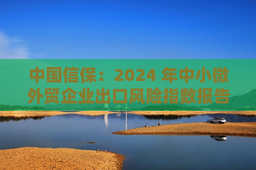 中国信保：2024 年中小微外贸企业出口风险指数报告发布