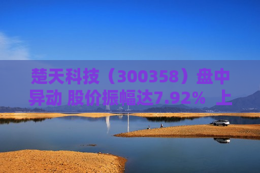 楚天科技（300358）盘中异动 股价振幅达7.92%  上涨6.73%（06-17）