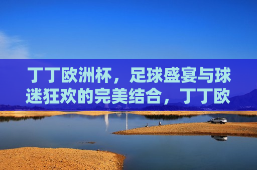 丁丁欧洲杯，足球盛宴与球迷狂欢的完美结合，丁丁欧洲杯，足球盛宴与狂欢的终极碰撞，丁丁欧洲杯，足球与狂欢的终极碰撞