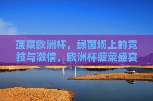 菠菜欧洲杯，绿茵场上的竞技与 *** ，欧洲杯菠菜盛宴，绿茵场上的热血竞技，欧洲杯菠菜盛宴，绿茵场上的竞技与 *** 