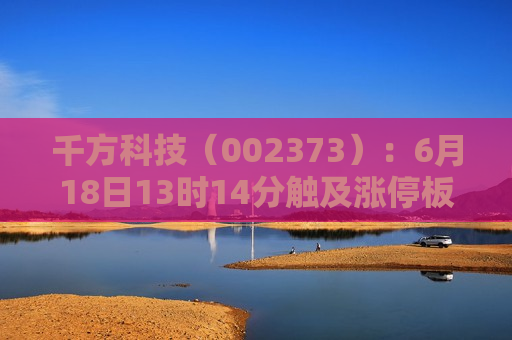 千方科技（002373）：6月18日13时14分触及涨停板