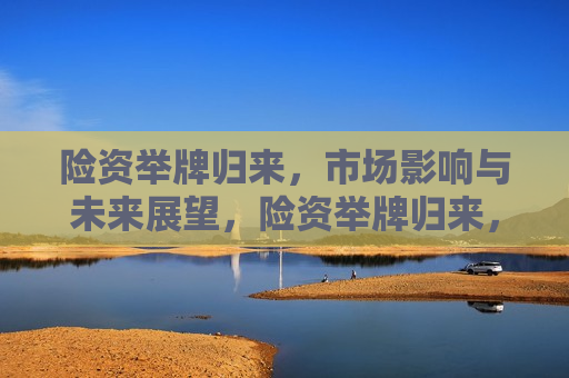 险资举牌归来，市场影响与未来展望，险资举牌归来，市场影响及未来展望，险资举牌归来，市场影响与未来展望