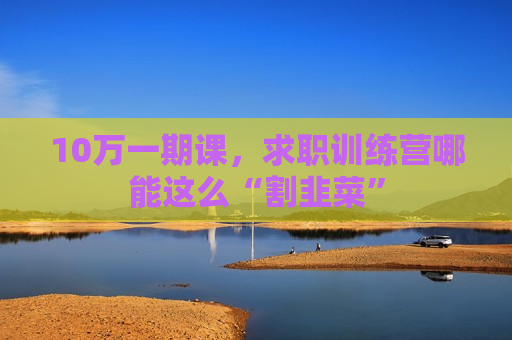 10万一期课，求职训练营哪能这么“割韭菜”  第1张