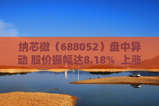 纳芯微（688052）盘中异动 股价振幅达8.18%  上涨7.48%（06-20） 第1张