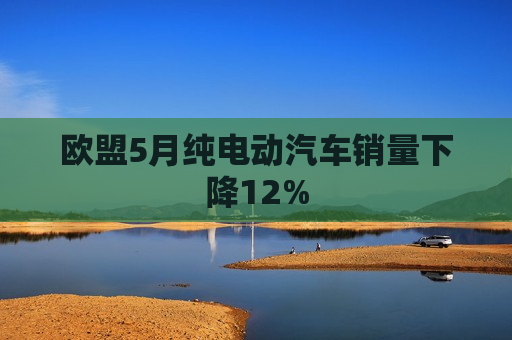 欧盟5月纯电动汽车销量下降12%  第1张