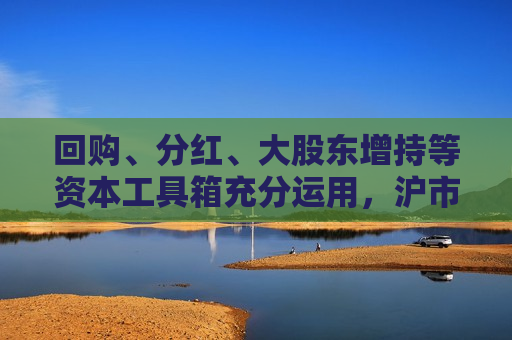 回购、分红、大股东增持等资本工具箱充分运用，沪市公司多路径实现投资者回报  第1张