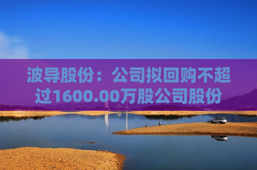 波导股份：公司拟回购不超过1600.00万股公司股份  第1张