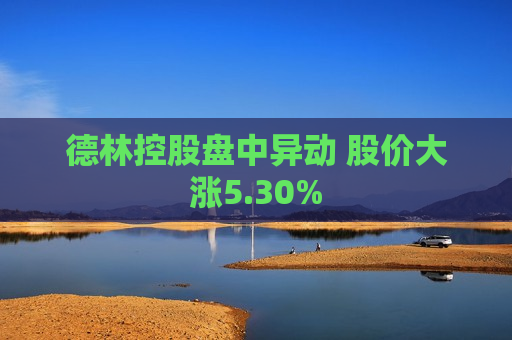 德林控股盘中异动 股价大涨5.30%
