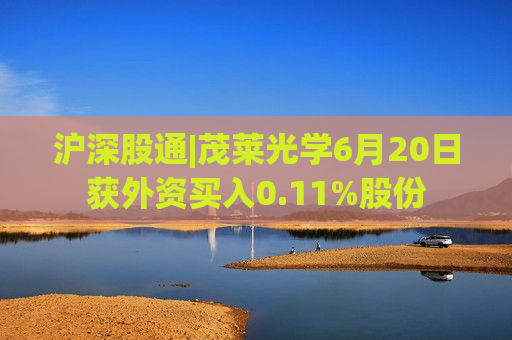 沪深股通|茂莱光学6月20日获外资买入0.11%股份
