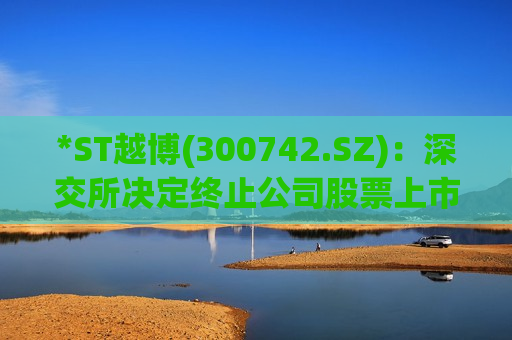 *ST越博(300742.SZ)：深交所决定终止公司股票上市
