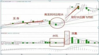 巴菲特点破A股市场：更具价值投资的7只行业龙头股名单一览，谁会是下一只“千倍股”?