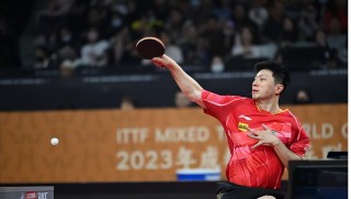 2021年乒乓球世界杯(2021年乒乓球世界杯男单冠军)