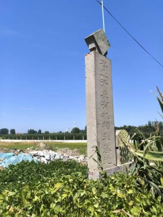 山东临沂多名村民称基本农田遭大面积破坏，市 *** 曾开过警示约谈会议