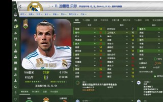 足球经理(足球经理2023手游汉化版)