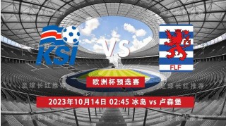 2016欧洲杯冰岛阵容(2016欧洲杯冰岛阵容对阵)