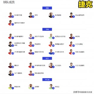 欧洲杯阵型(欧洲杯阵出炉)