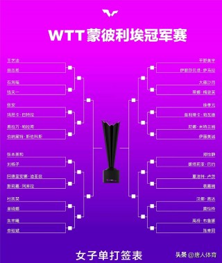 今日国乒比赛结果(今日国乒比赛结果整理图)