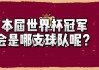 足球世界杯共有32支球队(世界杯足球赛共有几支参赛队)