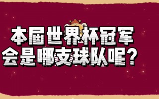 足球世界杯共有32支球队(世界杯足球赛共有几支参赛队)