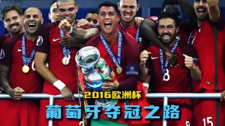 2016年欧洲杯葡萄牙(2016年欧洲杯葡萄牙vs匈牙利)
