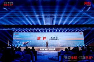 王文京：生态共荣 产品之一