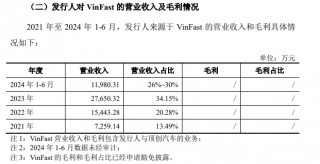 龙创设计闯关创业板：2023年增收不增利 之一大客户“越南特斯拉”VinFast大额亏损并推迟建厂计划