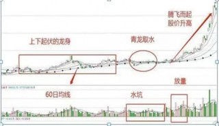巴菲特点破A股市场：更具价值投资的7只行业龙头股名单一览，谁会是下一只“千倍股”?