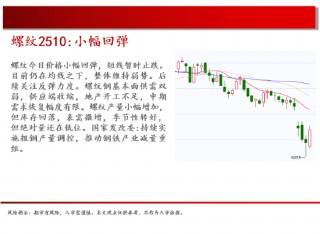 中天期货:螺纹小幅回弹 白银震荡修复