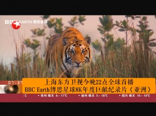 上海东方卫视在线节目观看(上海东方卫视台电视剧节目表)