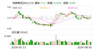 塔牌集团：2024年半年度净利润约2.26亿元 同比下降53.43%