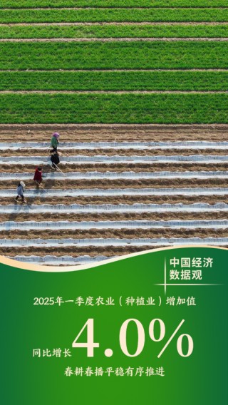 中国经济数据观丨十组数据看一季度经济发展成色