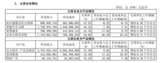 东软集团多元化困局