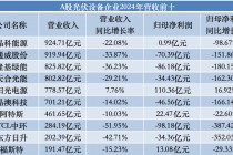 追光者”2024年成绩单透视：近半亏损下转向“技术战