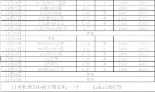 挪超赛程比分结果(挪超赛程比分结果2023)