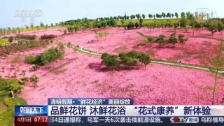 暴涨220%！这一市场，绽放！