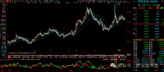 信达澳亚陷“老鼠仓”风波，李淑彦换手率高达873%，基民抱怨产品封闭期跌40％